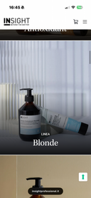 INSIGHT - BLONDE