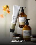 INSIGHT - ANTI-FRIZZ